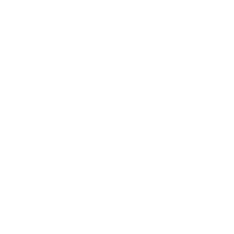 RHiNO Logo